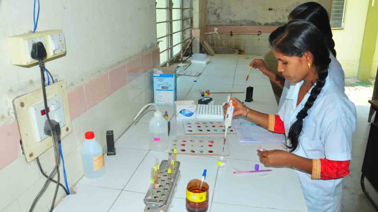 డెంగీని నిర్మూలిద్దాం