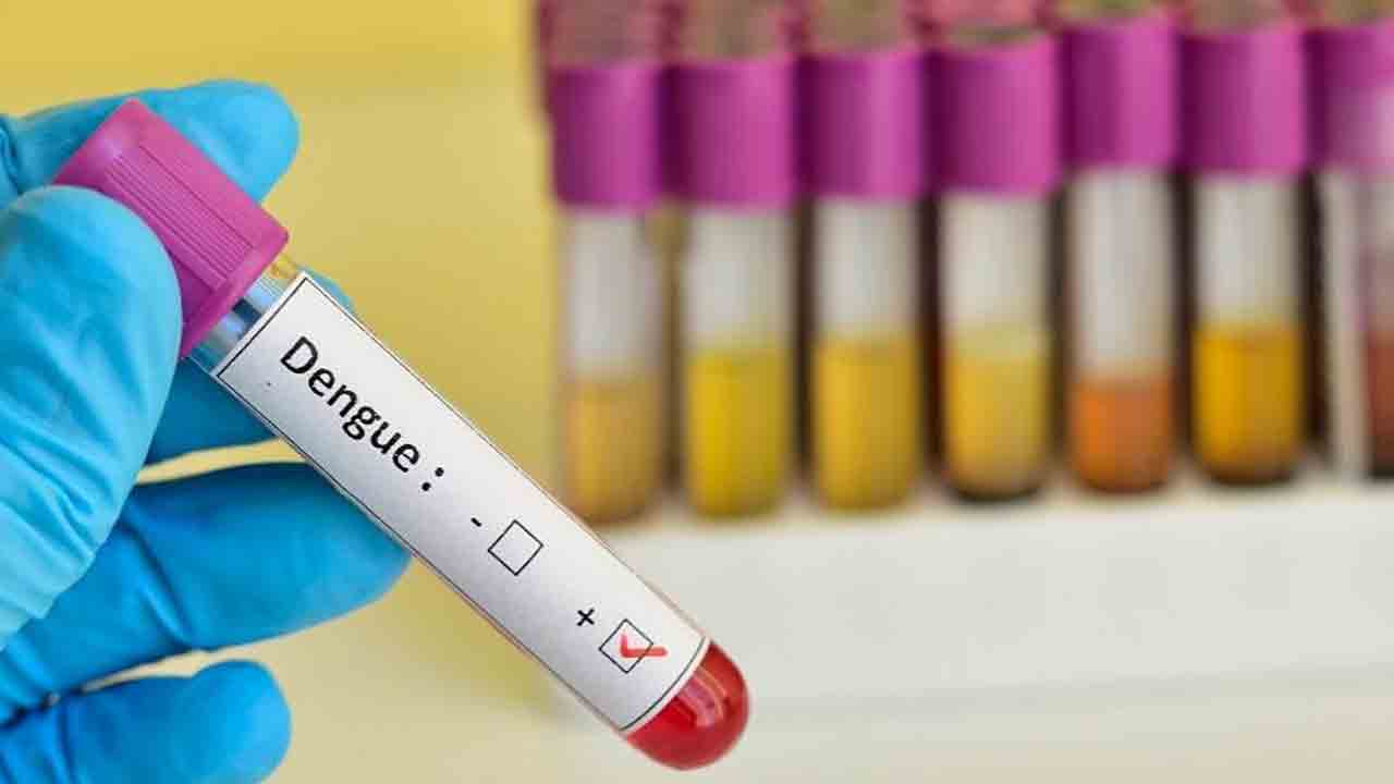 Dengue |  భారత్‌ను కలవరపెడుతున్న డెంగ్యూ.. గణనీయంగా పెరుగుతున్న కేసులు