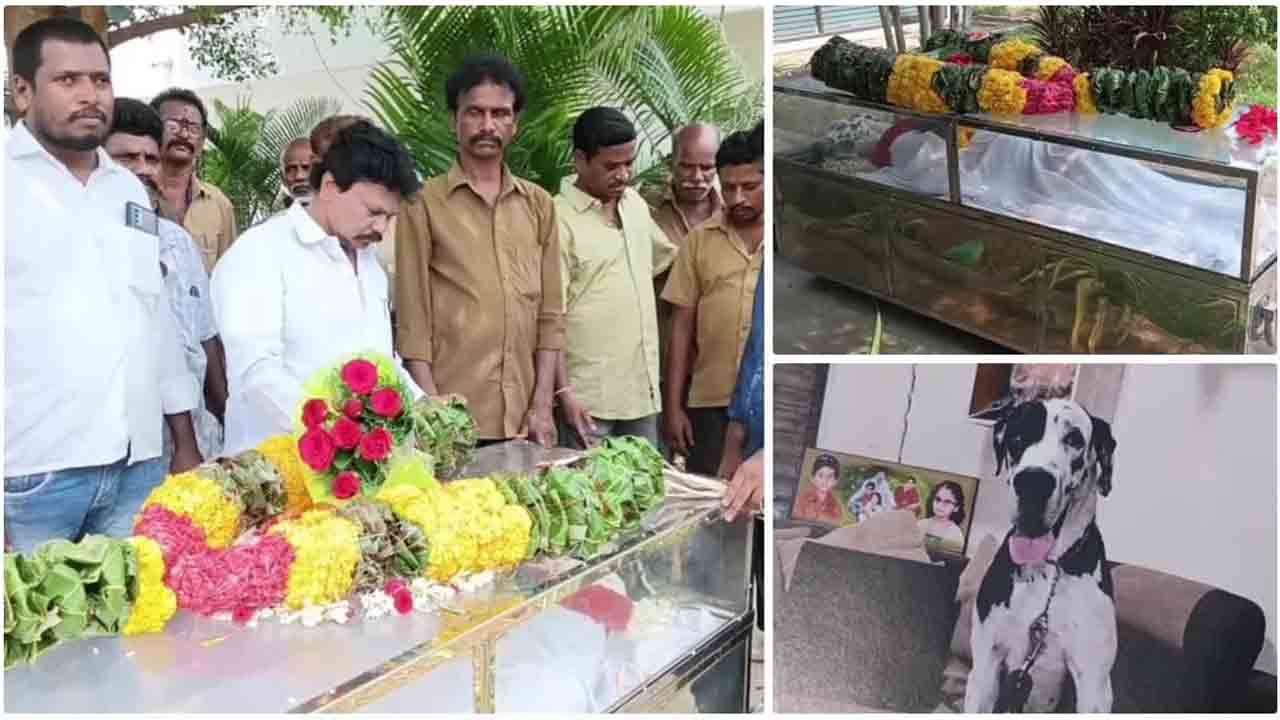 AP News | పెంపుడు శునకానికి అంత్యక్రియలు.. తిరుపతిలో అరుదైన ఘటన