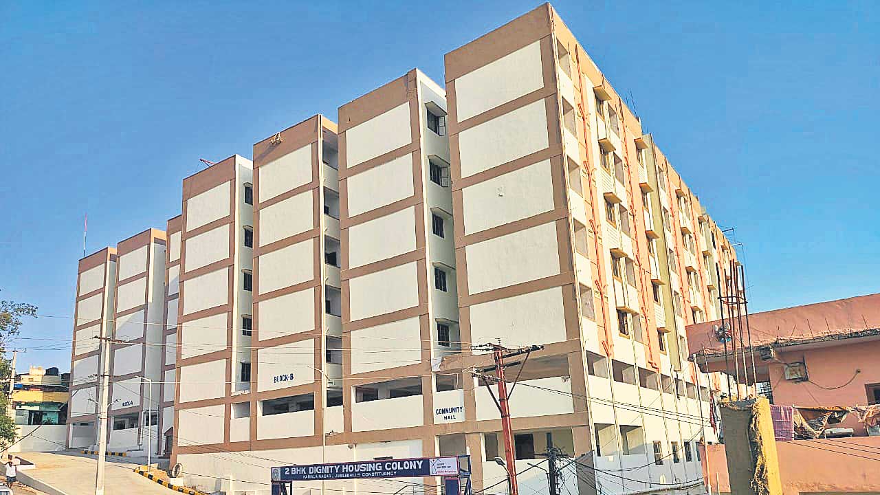 డిగ్నిటీ డబుల్‌