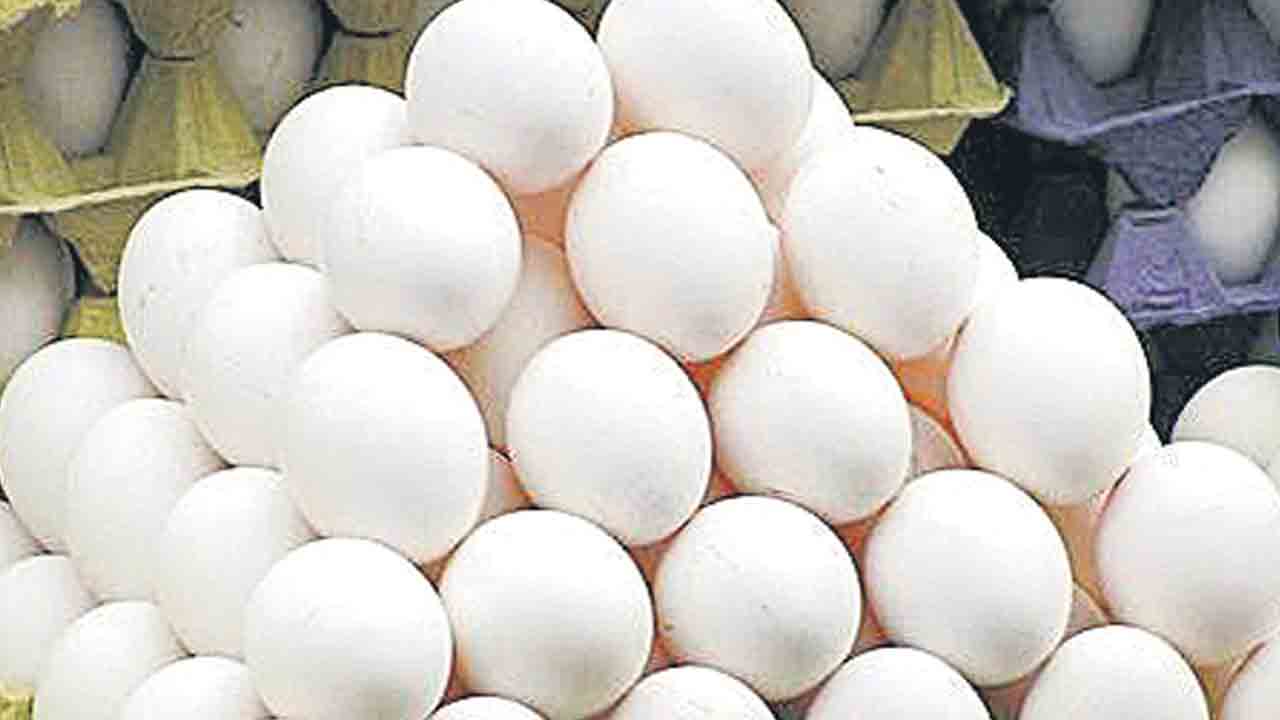 Anganwadi |  అంగన్‌వాడీ గుడ్డుపై మూడు రంగుల్లో గుర్తు.. పౌష్టికాహారం పక్కదారి పట్టకుండా చర్యలు