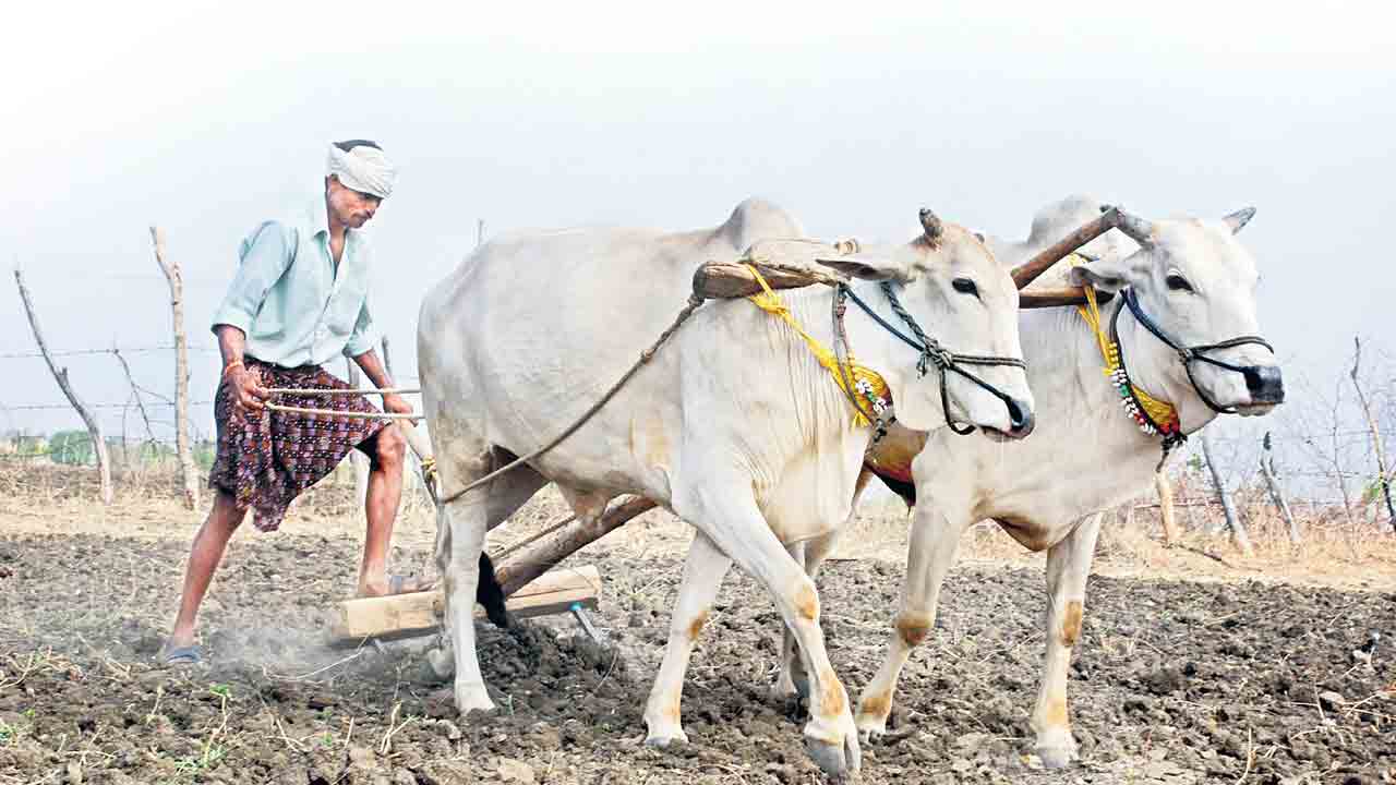 రైతు బీమా.. ధీమా..!