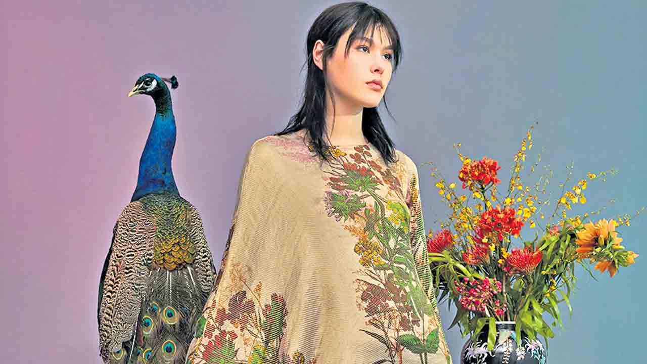 నెమలికి నేర్పిన సోకులివీ..