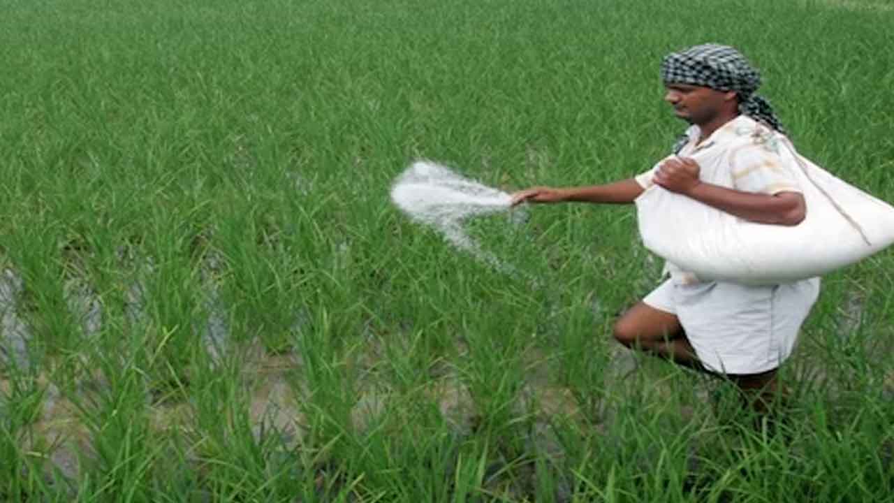 ఎరువులతో ఆటలొద్దు