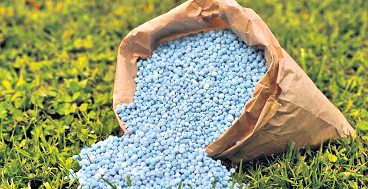 Fertiliser subsidy |  అన్నదాతపై ఎరువు బరువు.. గ్లోబల్‌ మార్కెట్‌లో ధరలు తగ్గినా రైతులకు ప్రయోజనం అందకుండా కేంద్రం కుట్ర!