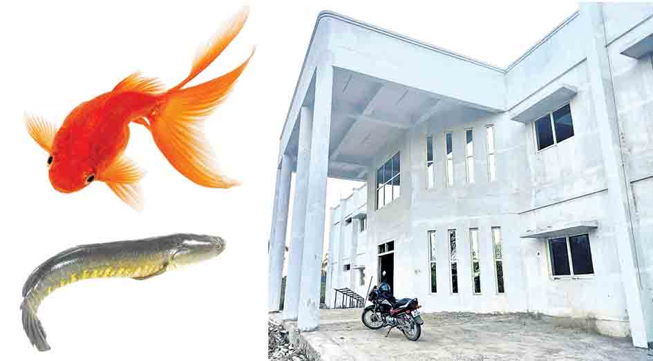 మత్స్యభవనం.. శిక్షణకు సిదధం