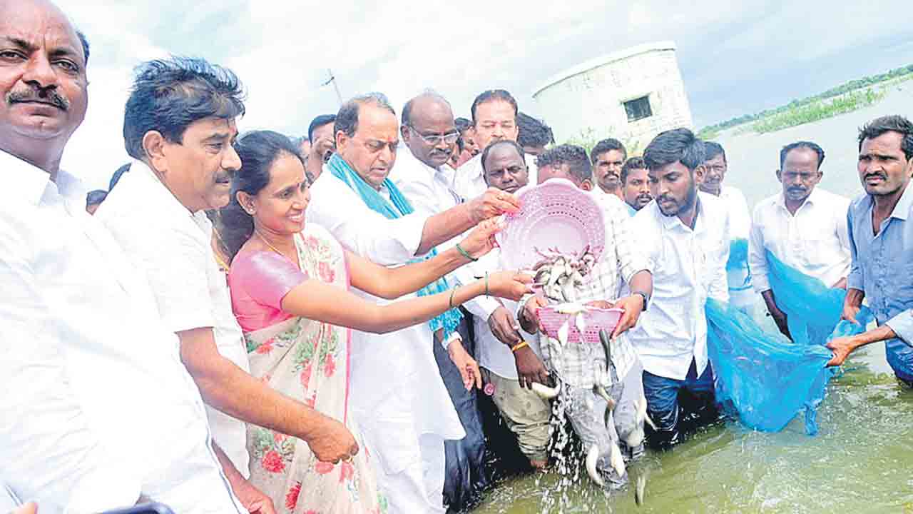 నీలి విప్లవం