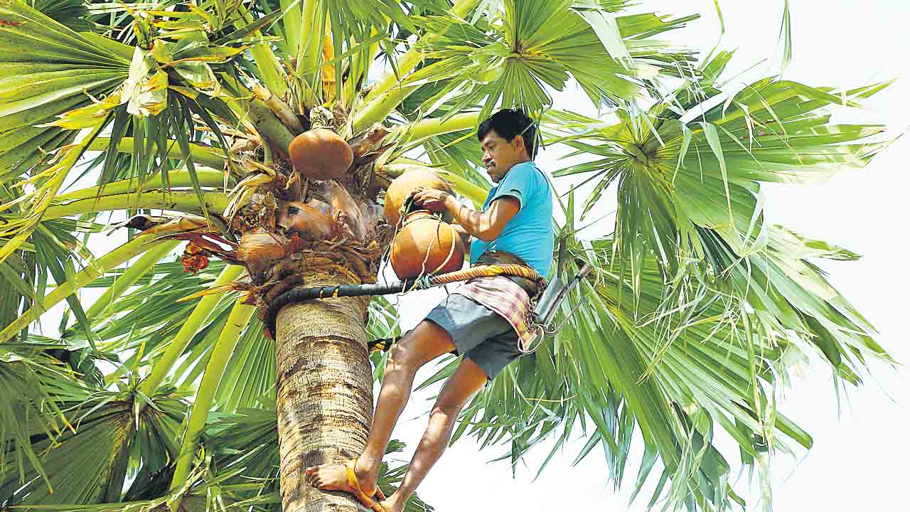 Insurance scheme |  గీతన్నకు బీమా.. రైతుబీమా తరహాలో కొత్త పథకం.. ముఖ్యమంత్రి కేసీఆర్‌ సంచలన నిర్ణయం
