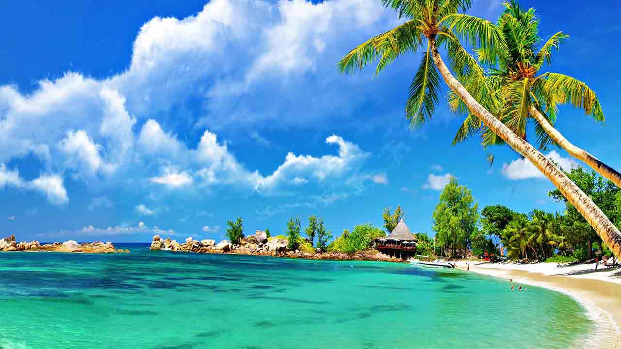 Ban On Alcohol In Goa | గోవాలో మద్యపానాన్ని నిషేధించండి.. బీజేపీ ఎమ్మెల్యే డిమాండ్