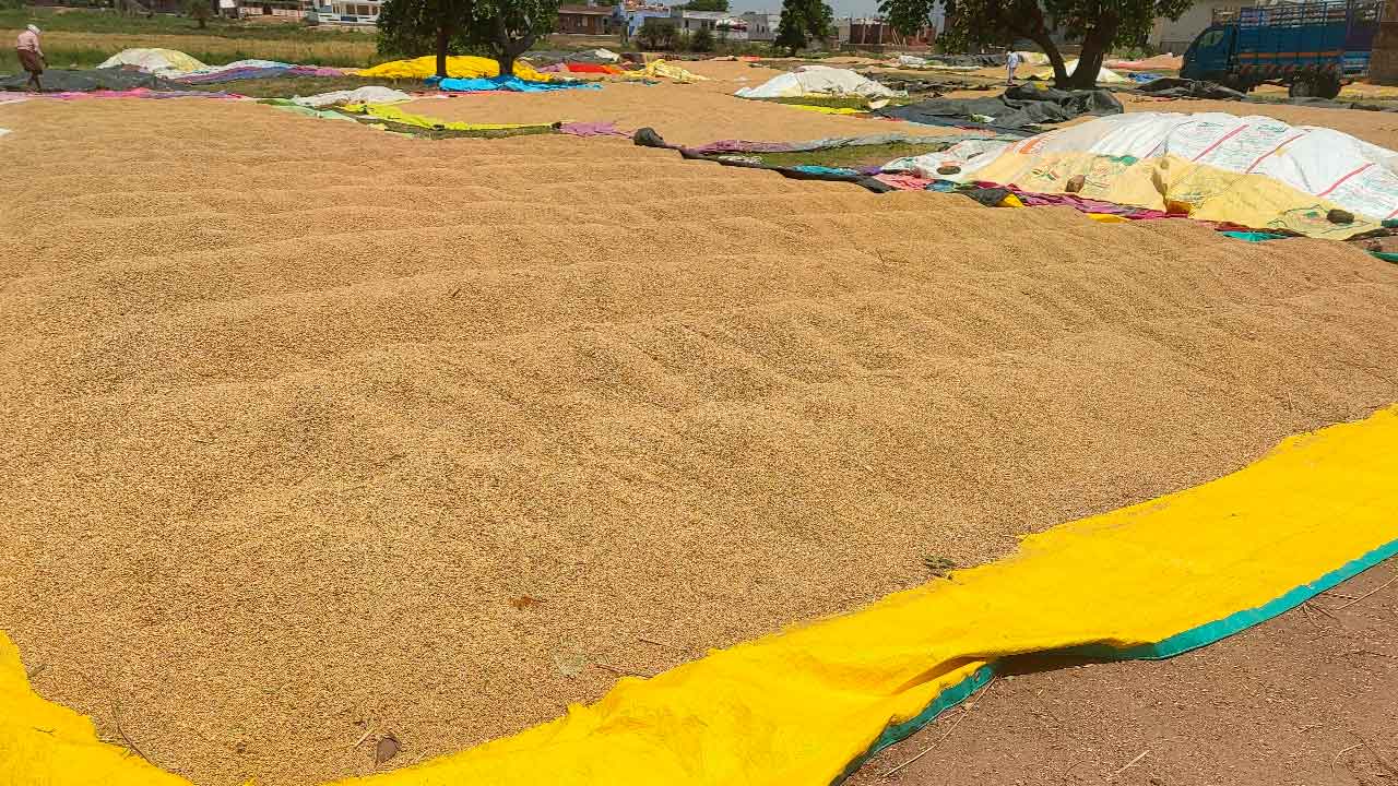 రైతు చెంతనే ధాన్యం కొనుగోళ్లు