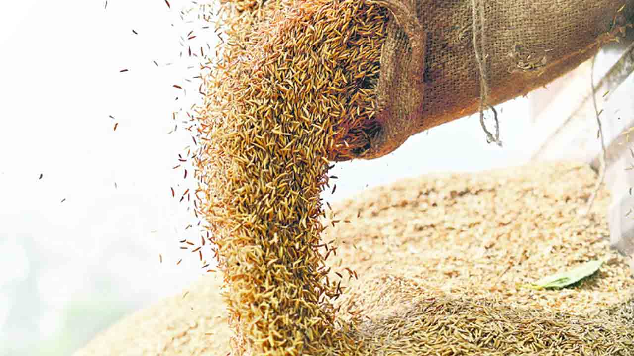 తరుగు తీస్తే కఠిన చర్యలు 