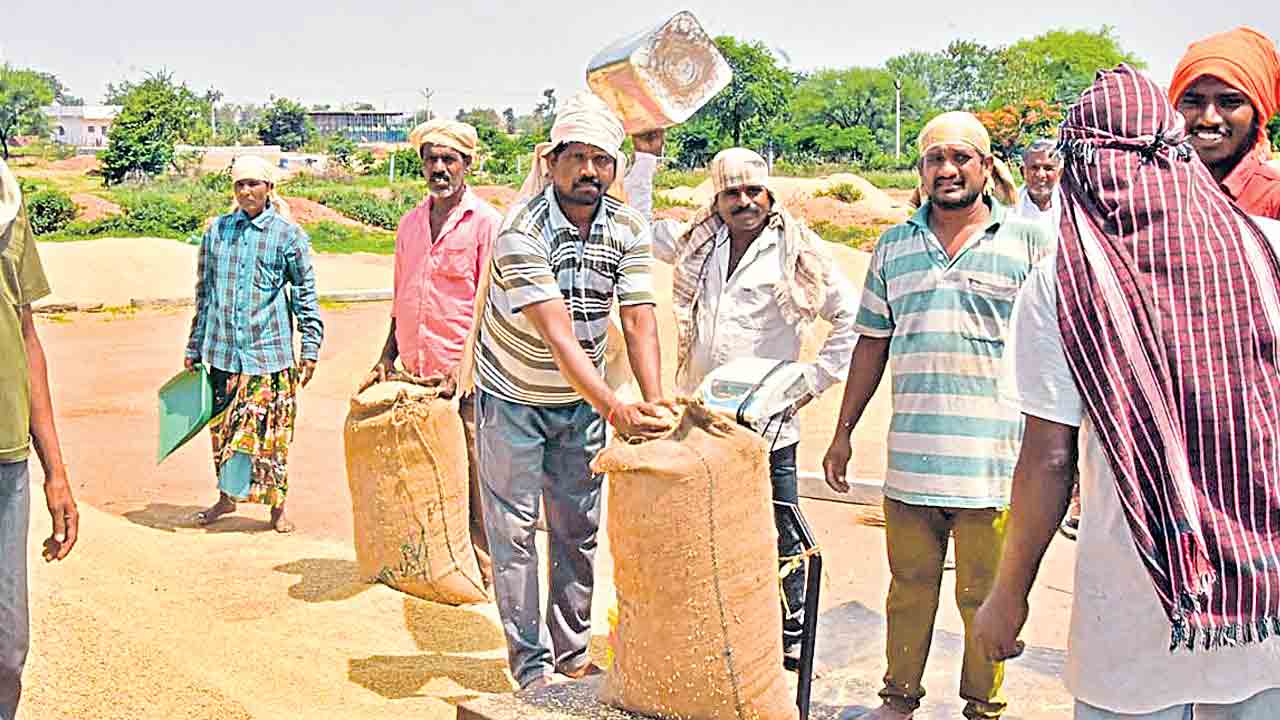 జోరుగా ధాన్యం సేకరణ