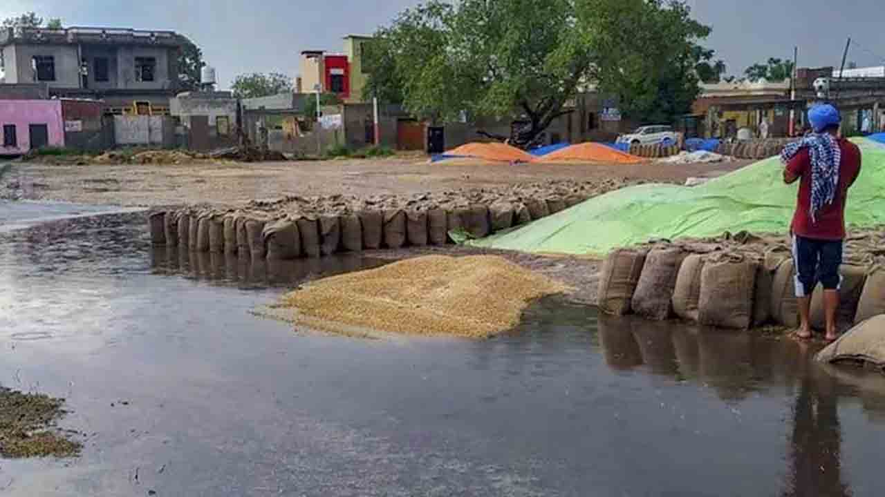 ధాన్యంలో తేమ శాతం 20కి పెంచాలి