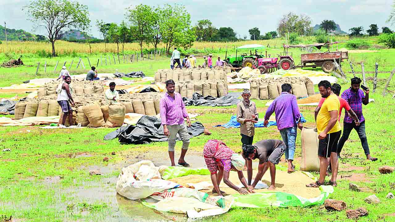 చెడగొట్టిన వాన