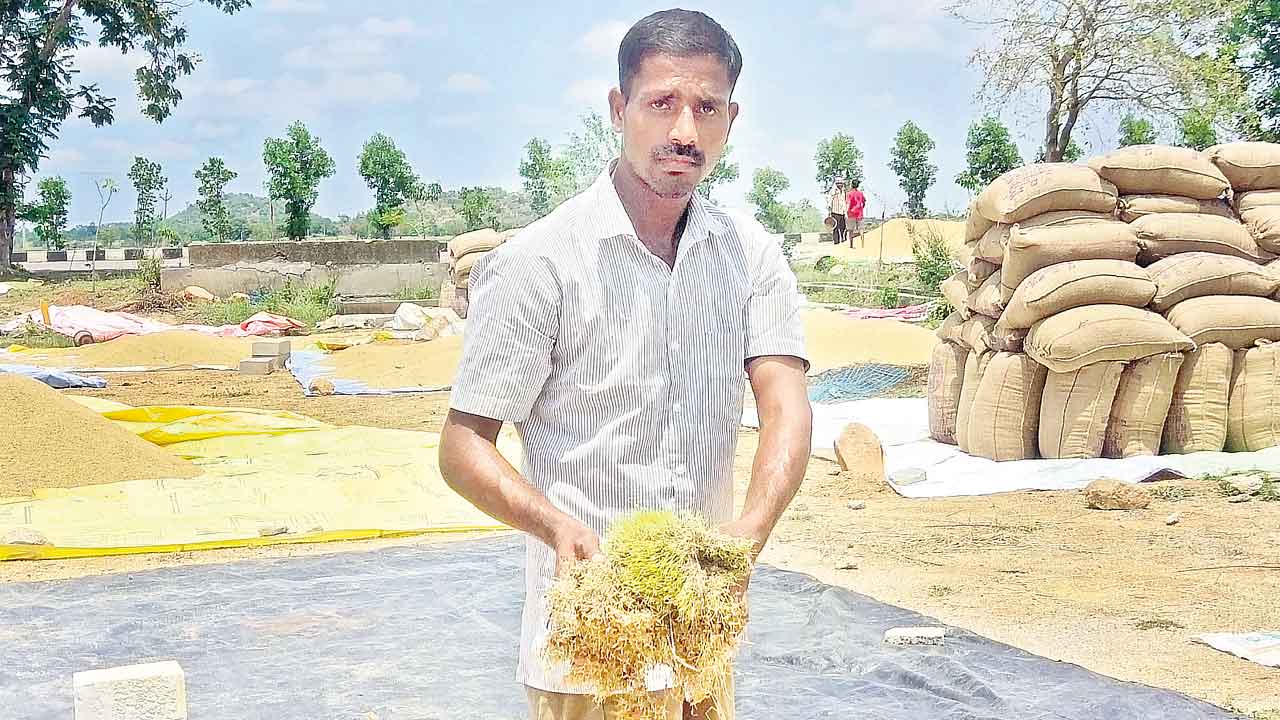 అన్నదాతపై పగబట్టిన వరుణుడు