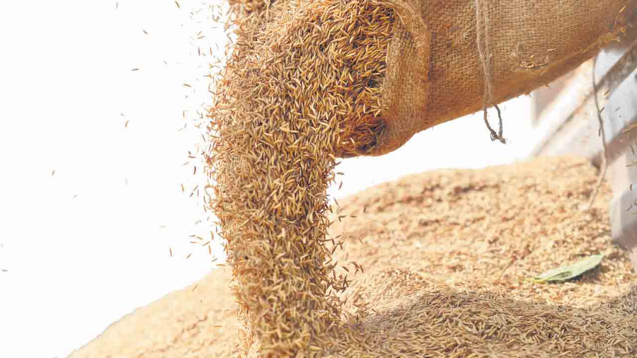 వేగంగా ధాన్యం కొనుగోళ్లు