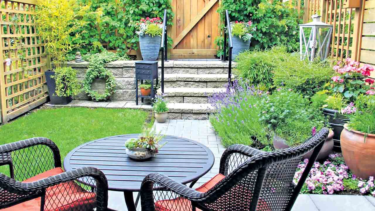 చల్లని పొదరిల్లు