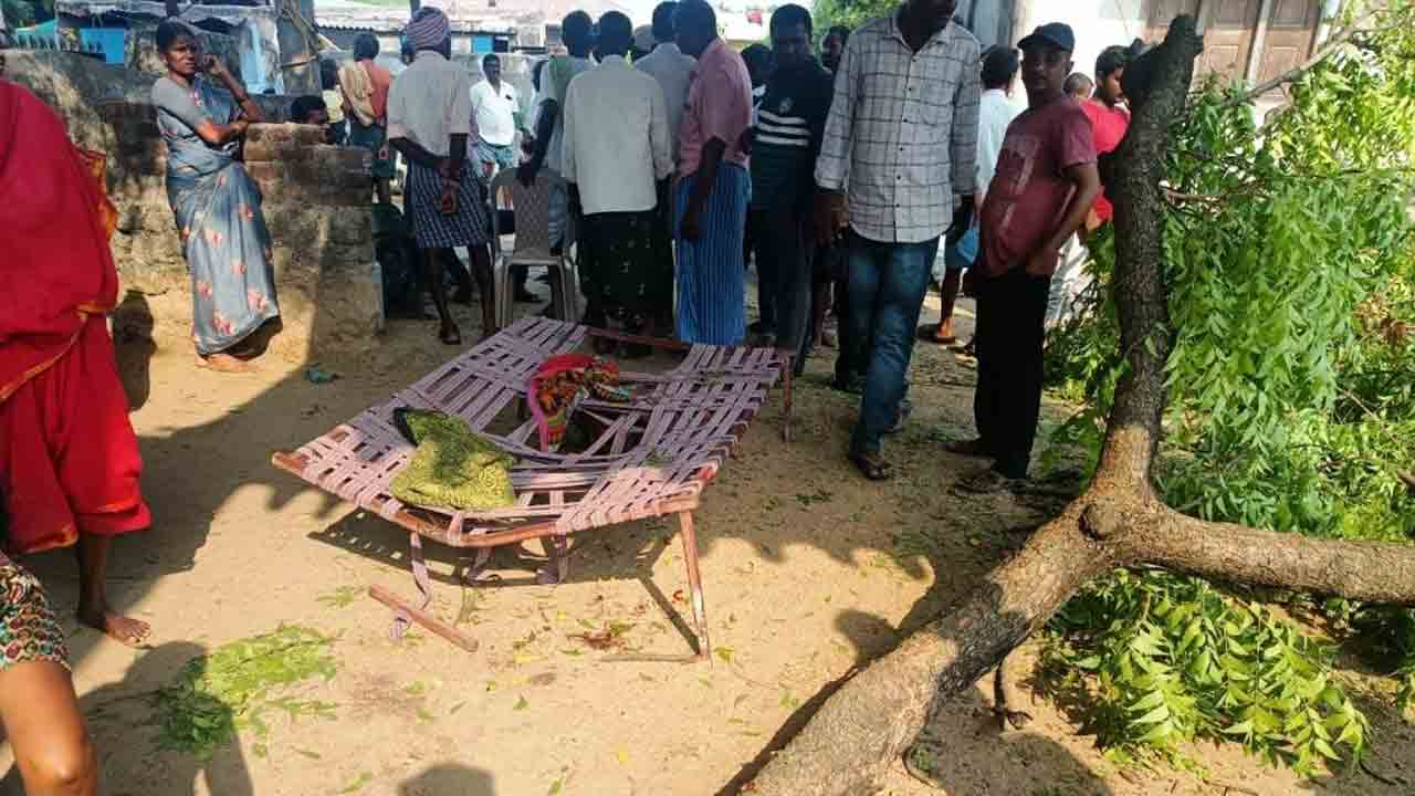 Telangana | మూడ్రోజుల్లో చెవులు కుట్టించే ఫంక్షన్‌.. అంతలోనే విషాదం.. చెట్టు కొమ్మ విరిగి బాలిక దుర్మరణం