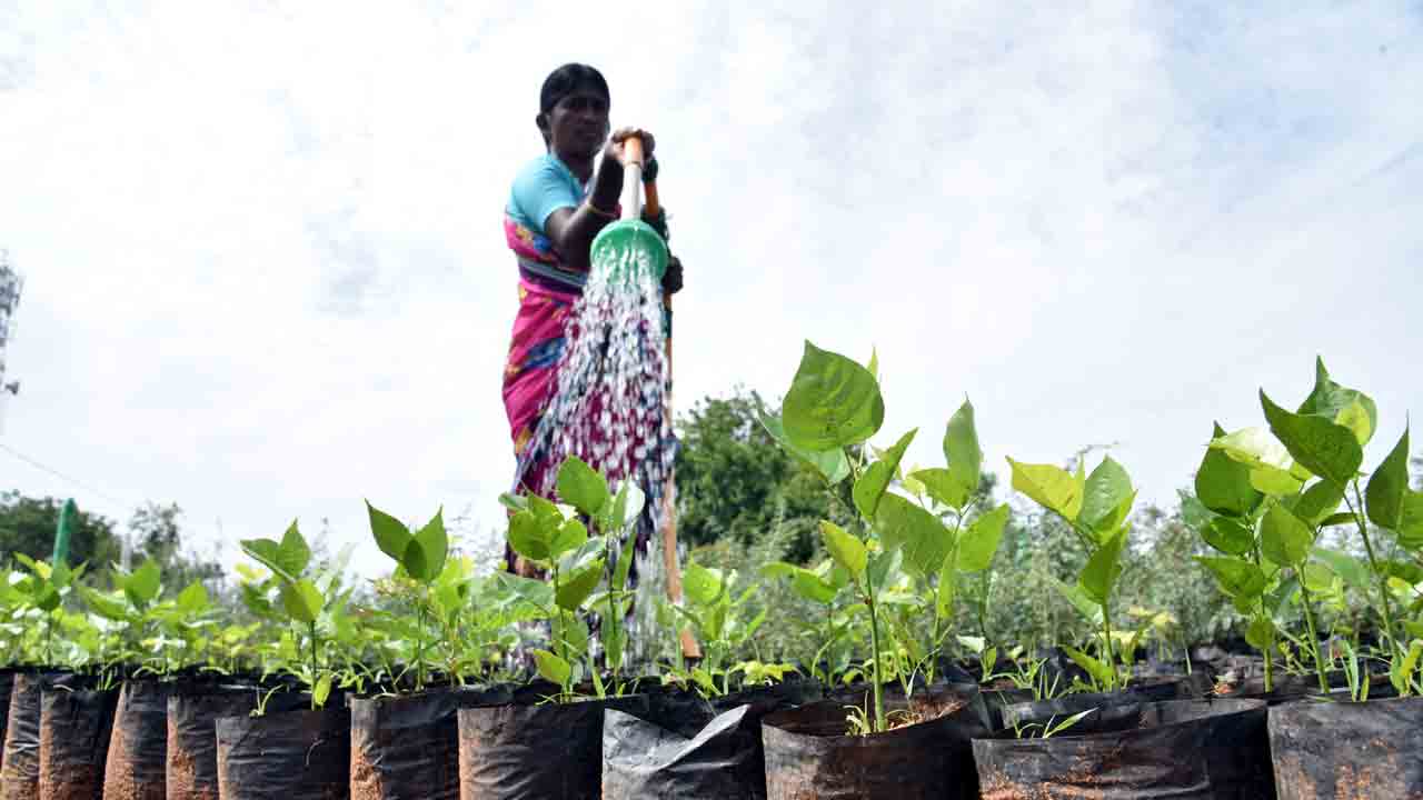 హరిత సన్నద్ధత