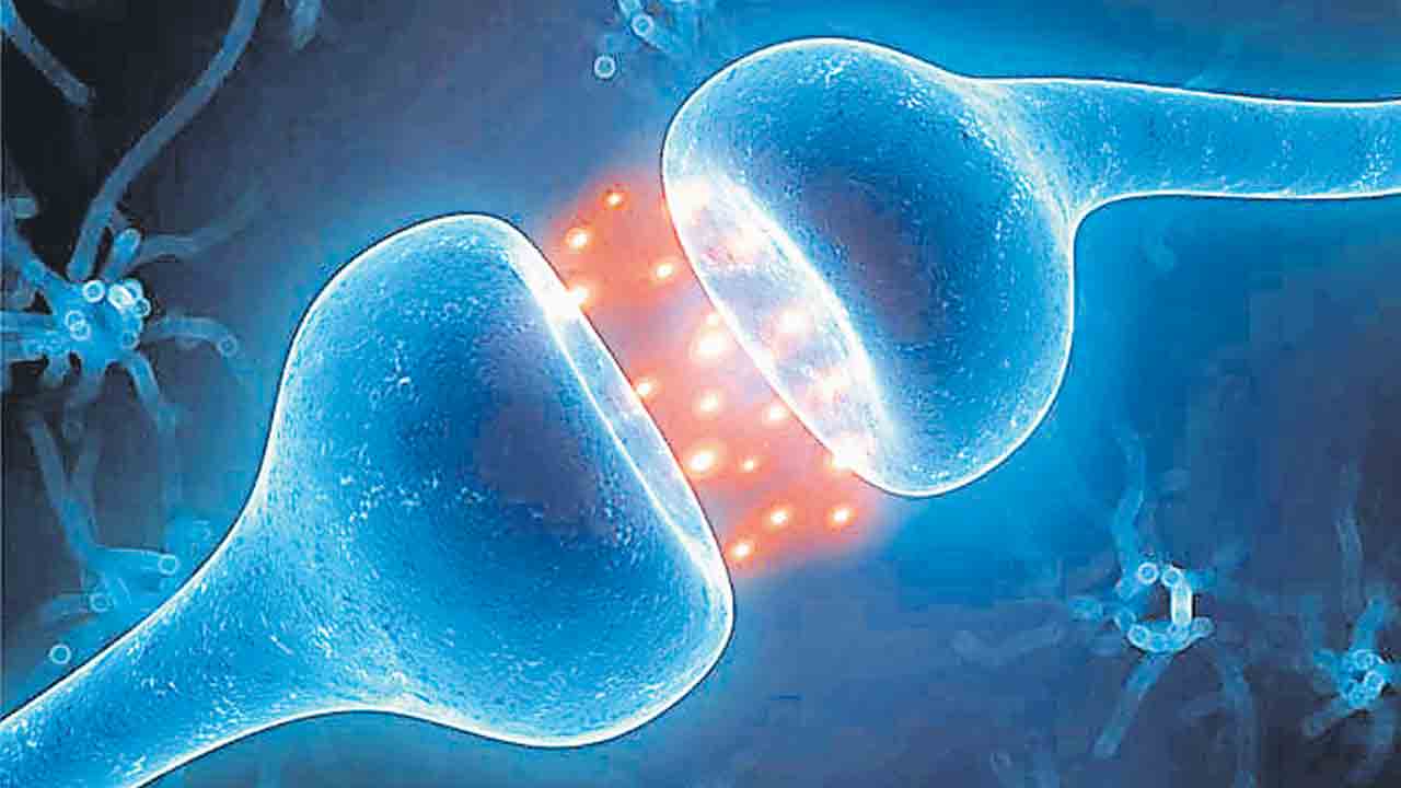 హెల్త్‌ బిట్స్‌