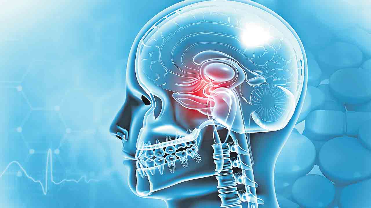 బ్రెయిన్‌ క్యాన్సర్‌ రోగుల జీవితకాలాన్ని పెంచే అద్భుత ఆవిష్కరణ