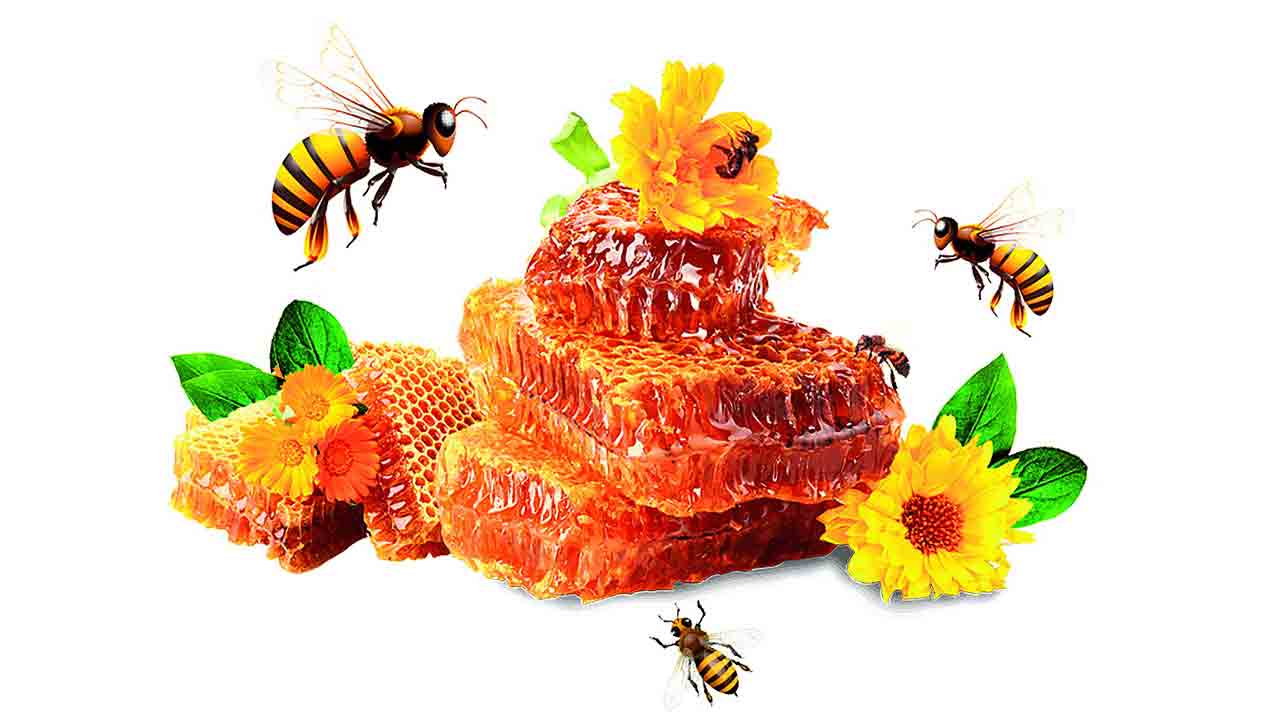 హర్ష.. హనీ బిజినెస్