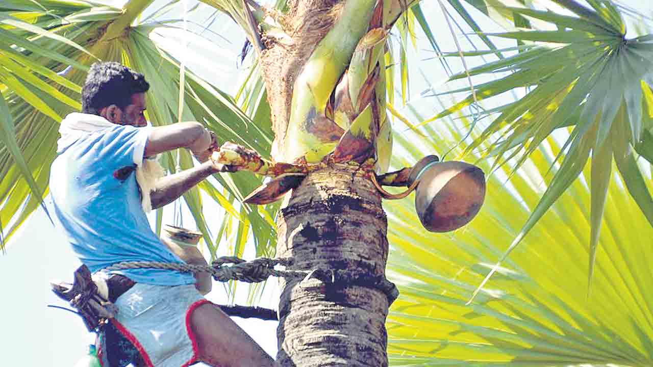 రైతుబీమా తరహాలో గీత కార్మికులకు బీమా