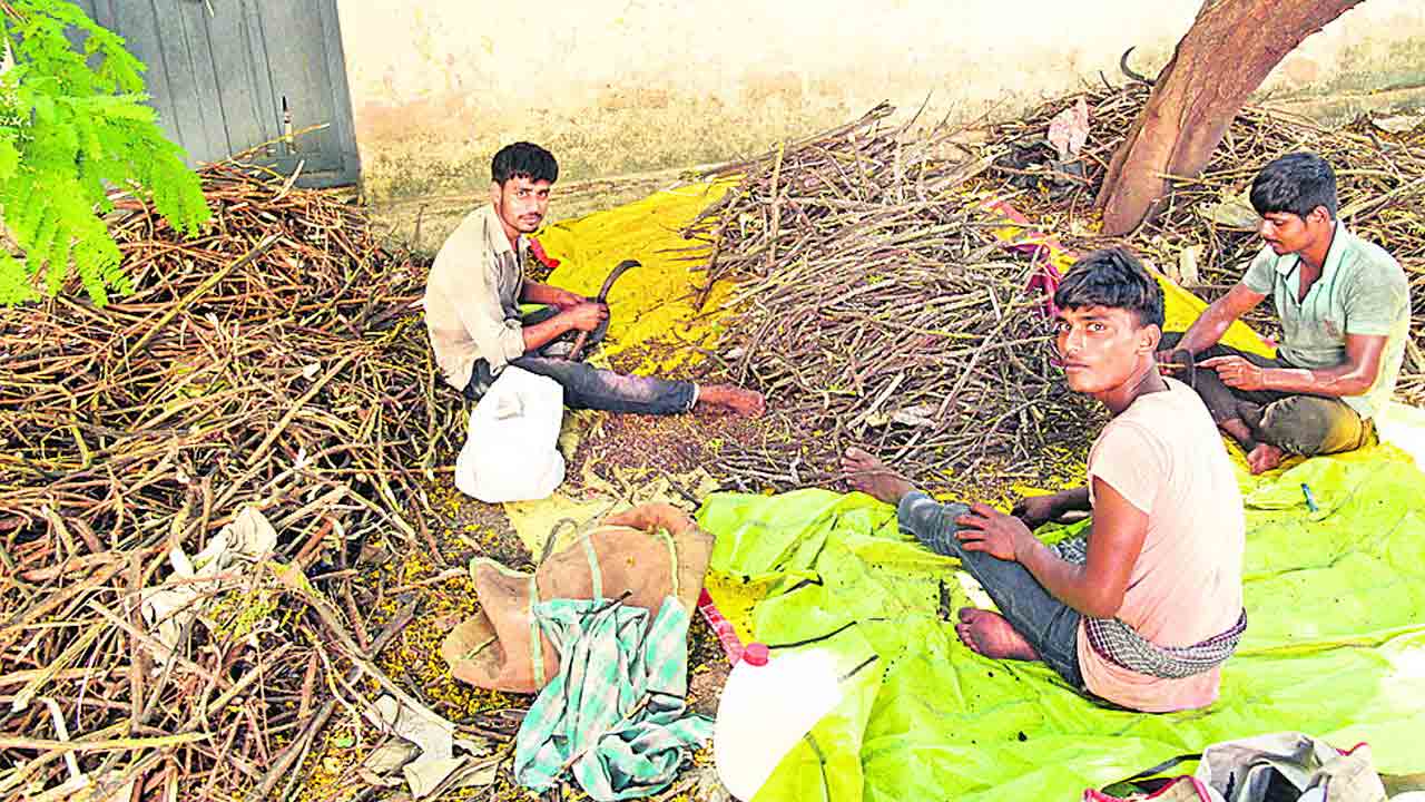 బతుకు దెరువుకు నిద్రమాను