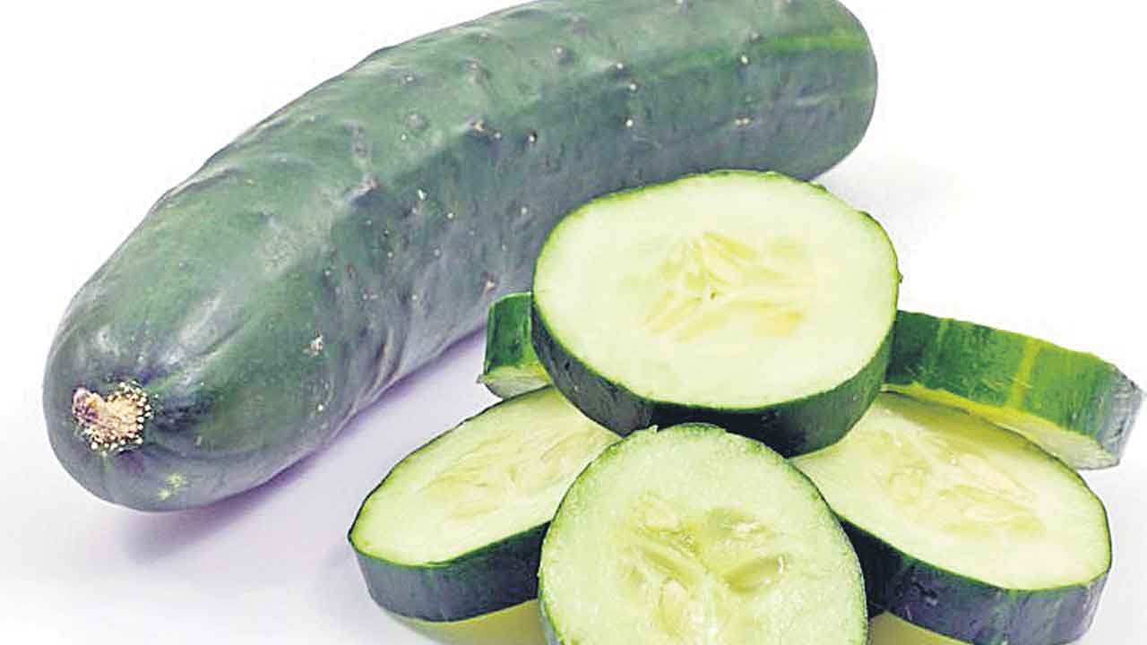 కీరదోసకు భలే క్రేజ్‌