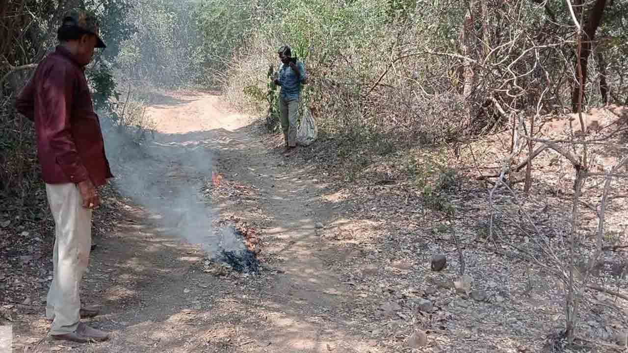 Sasar pit |  సాసర్‌పిట్స్‌.. ఫైర్‌లైన్స్‌.. వన్యప్రాణుల సంరక్షణకు అటవీ శాఖ ప్రత్యేక దృష్టి