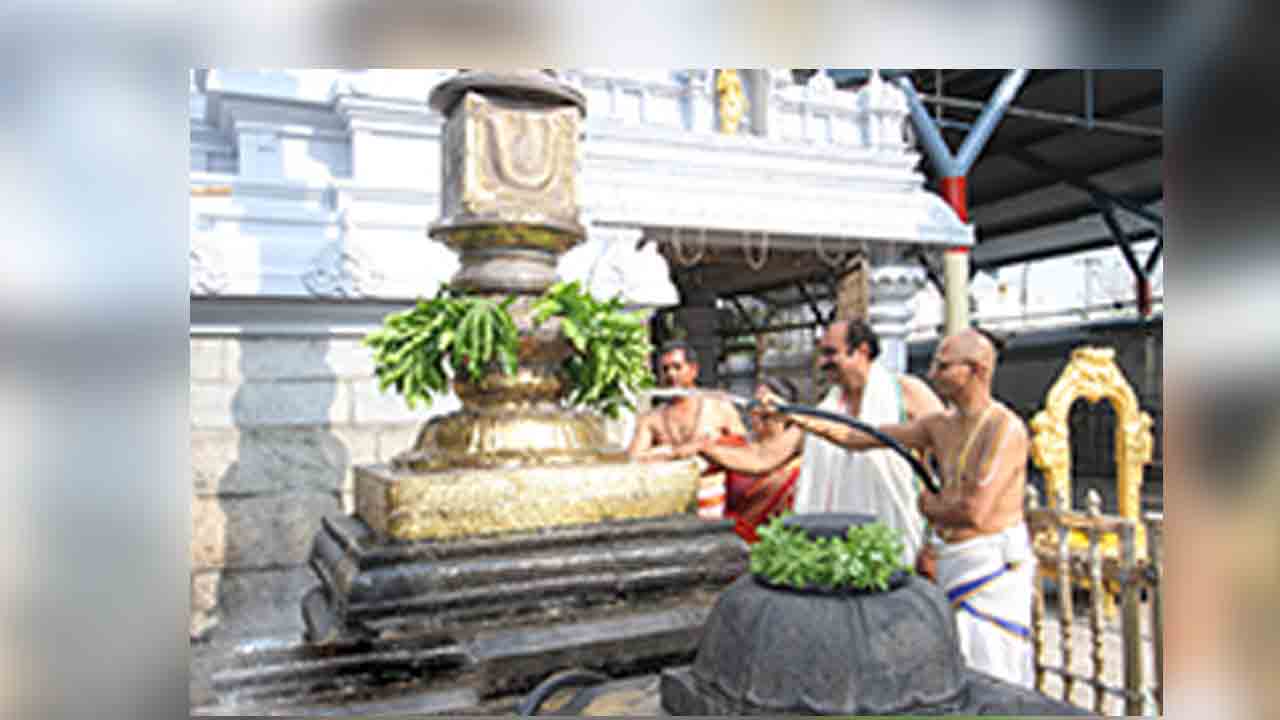 Tirupathi | అప్పలాయగుంట ఆలయంలో ఘనంగా కోయిల్‌ ఆళ్వార్‌ తిరుమంజనం