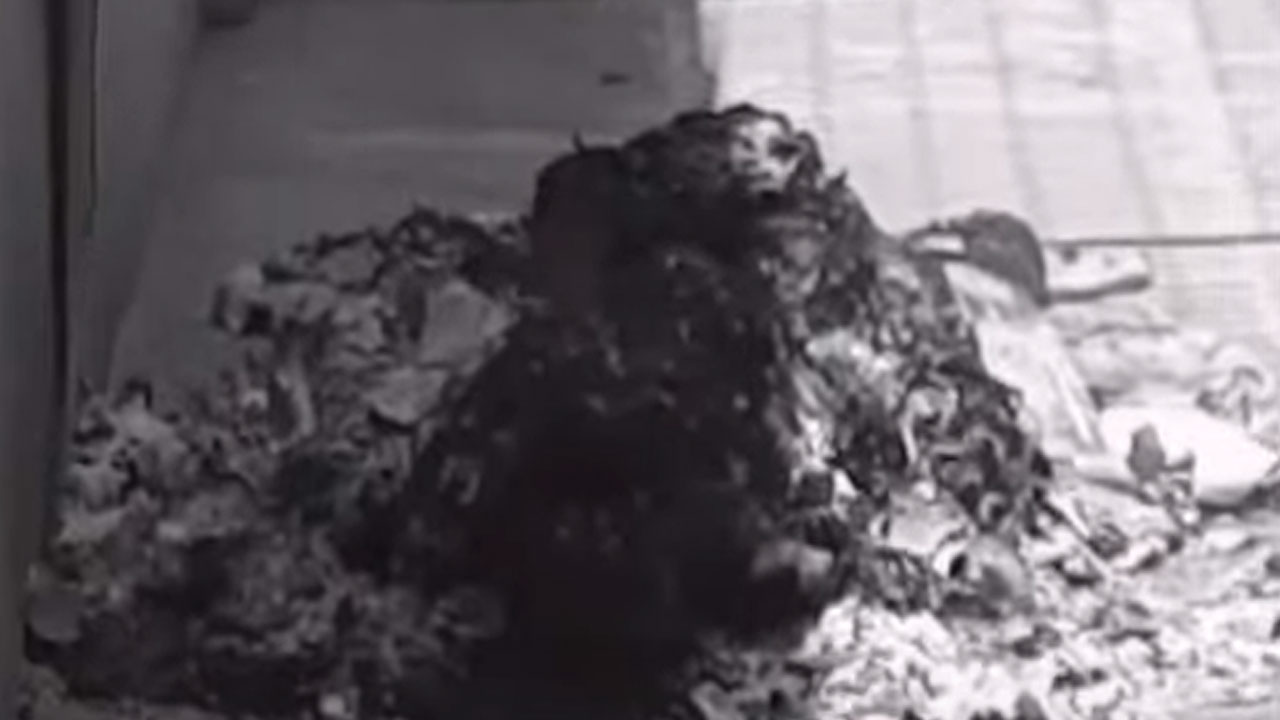 Kurnool | భ‌ర్త‌కు ఇంట్లోనే ద‌హ‌న సంస్కారాలు చేసిన భార్య‌.. చ‌నిపోయాడా..? చంపేసిందా..?