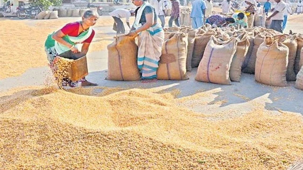 మక్కల కొనుగోళ్లకు రంగం సిద్ధం