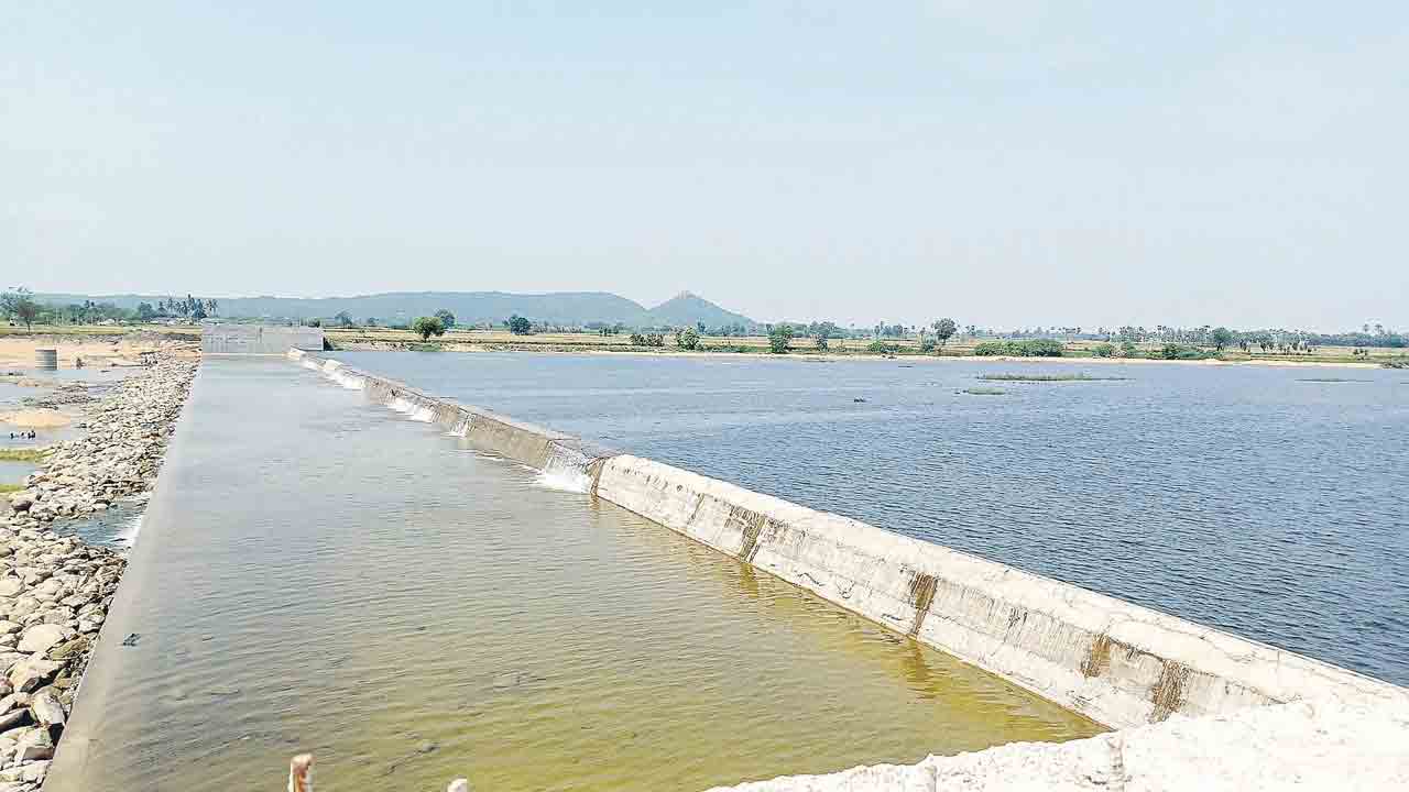 Sircilla |   మండుటెండల్లో జలధారలు.. సర్కారు సంకల్పంతో సజీవంగా మారిన రెండు నదులు