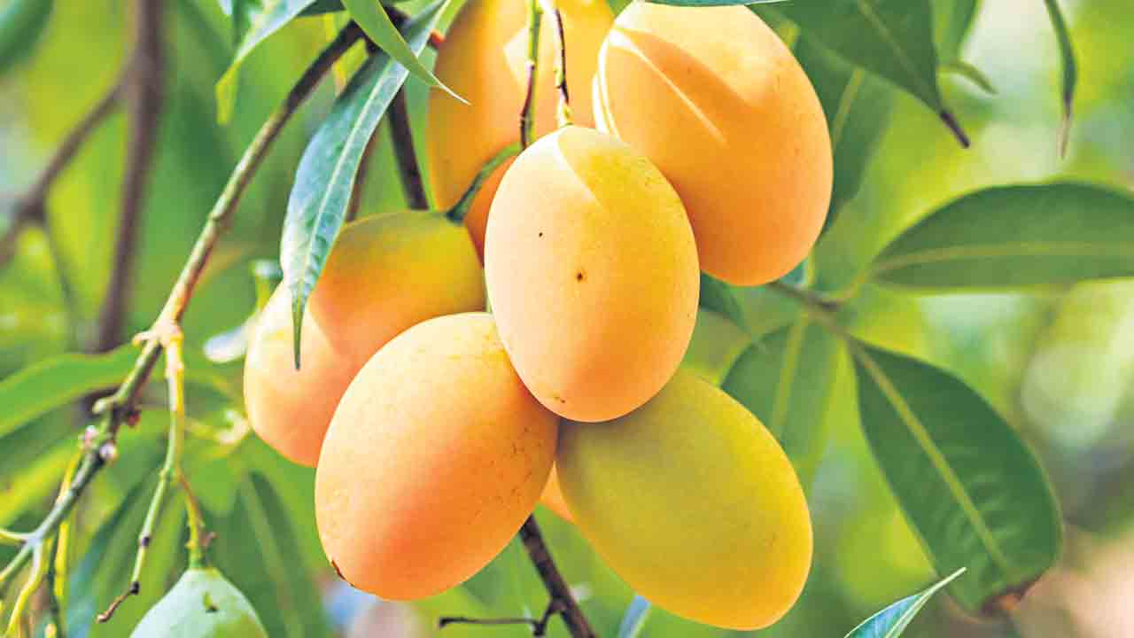 మితమే హితం