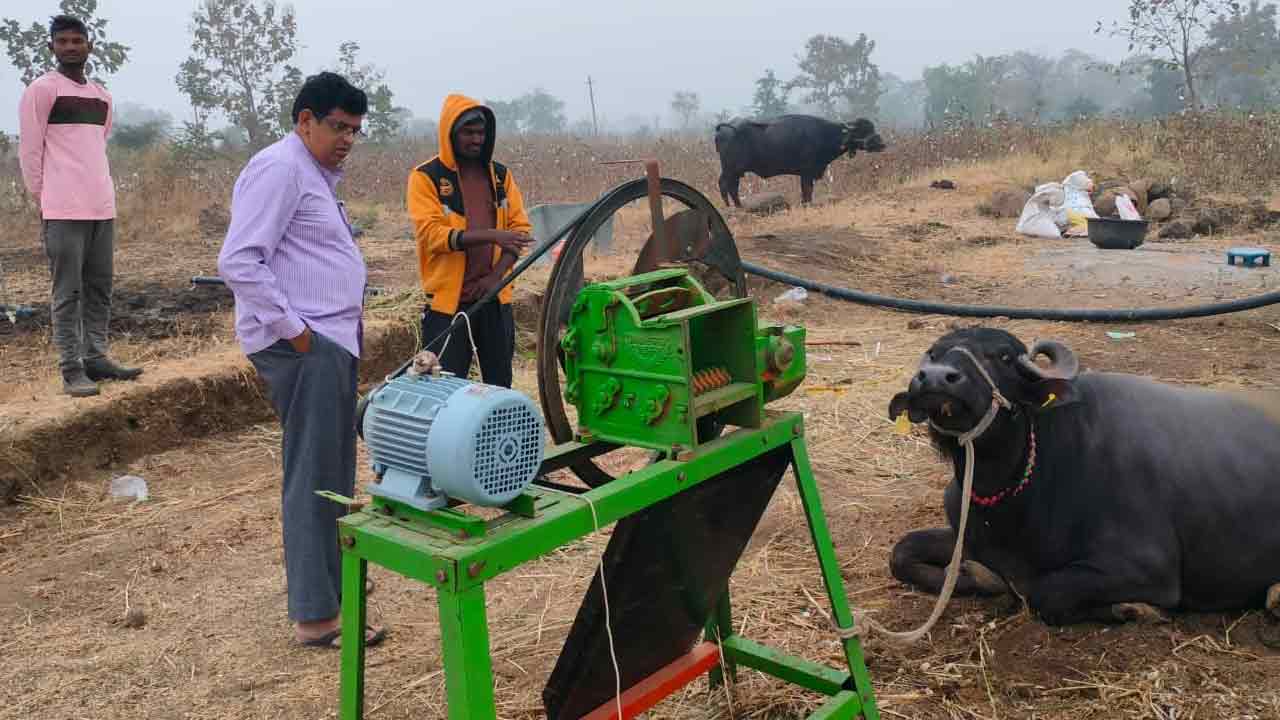 పశు సంపద పెంపు.. ఆదాయానికి దన్ను..