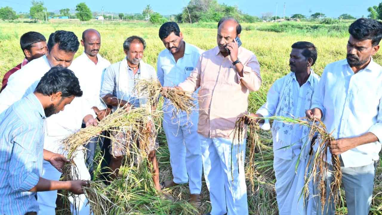 కన్నీటి వర్షం.. పంటలు నీటిపాలు.. నేలరాలిన మామిడి