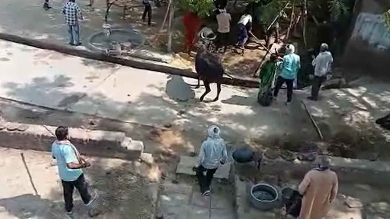 ఎంపీలో ఆరుగురి కాల్చివేత