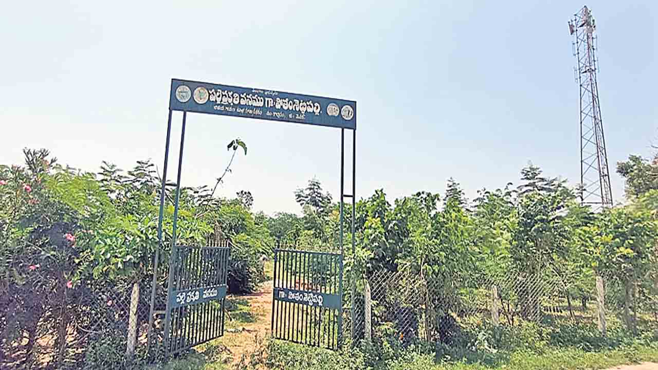 పల్లెకు శోభ.. ప్రకృతికి ప్రాణం