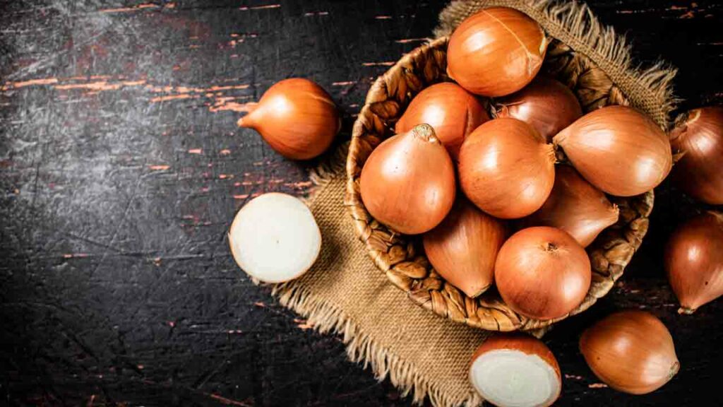 Onions2