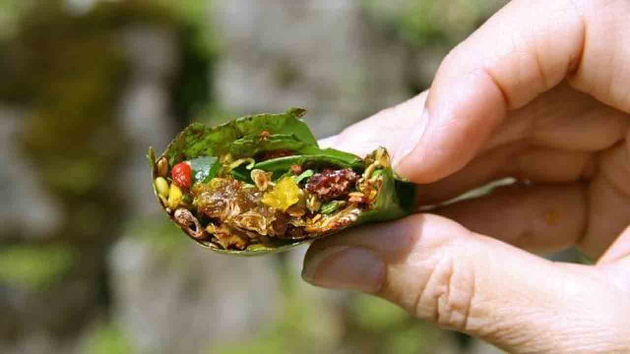 Types of Paan | ఆరోగ్యానికి కూడా ఎంతో మేలు చేసే పాన్‌ల్లో వందల రకాలున్నాయని తెలుసా !