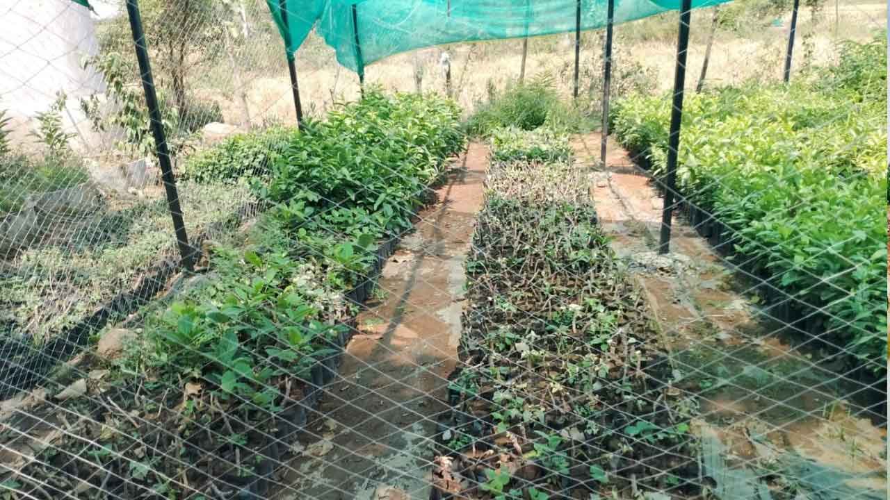 కొయ్య బొమ్మకు కొత్త ఆయుష్షు