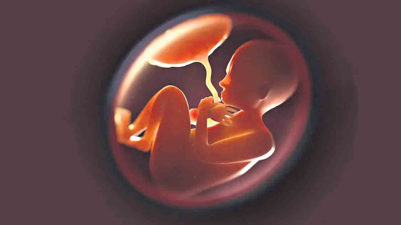 Brain Surgery |  వైద్యరంగంలో అద్భుతం.. గర్భంలోనే శిశువు మెదడుకు సర్జరీ