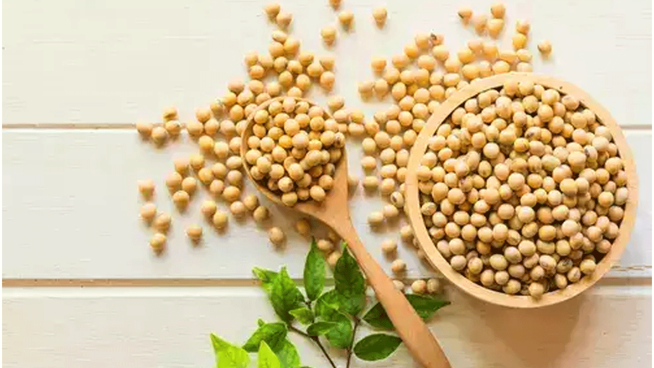 Health Tips | శాకాహారుల‌కు బెస్ట్ ప్రొటీన్ డైట్ ఇదే..!