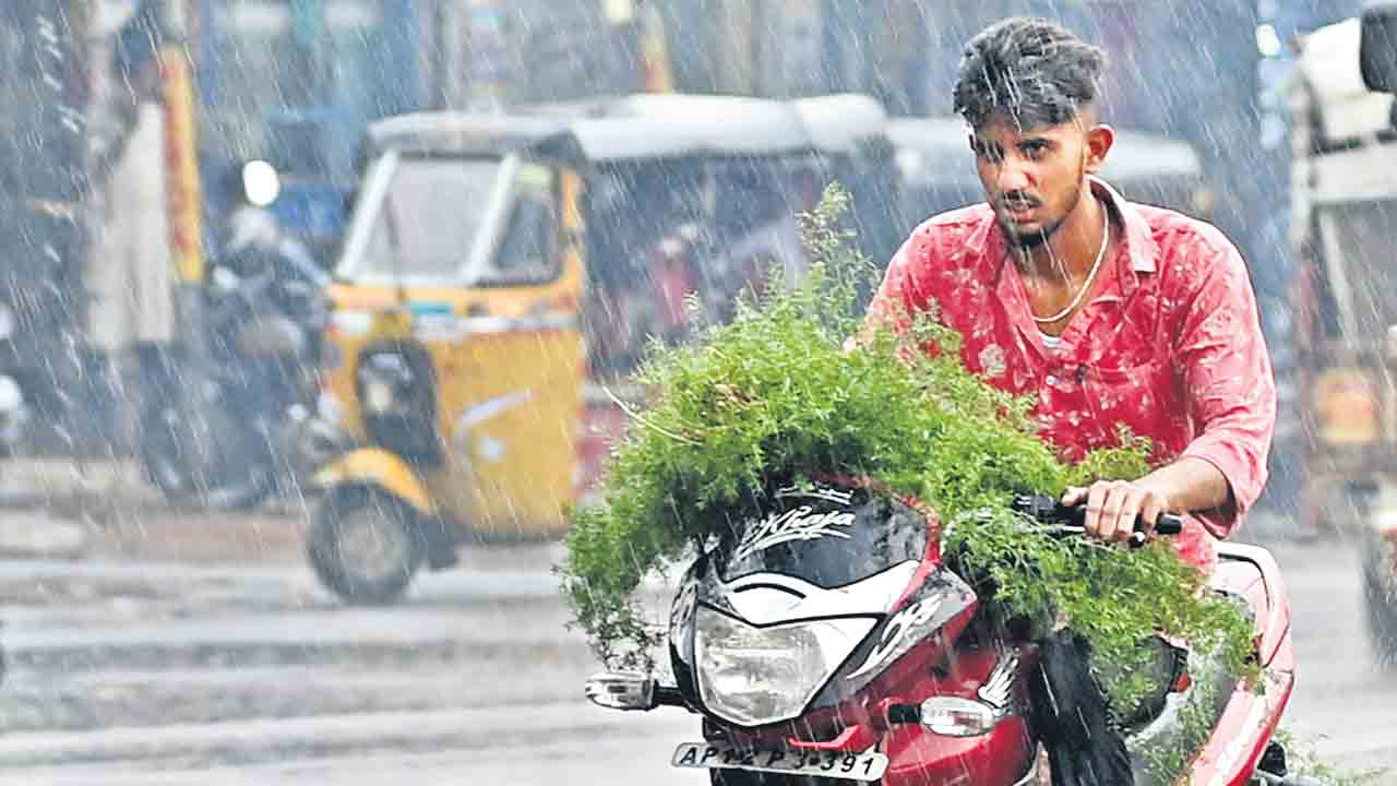 తేలికపాటి జల్లులు