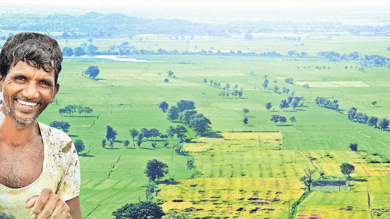 పండుగలా వ్యవసాయం