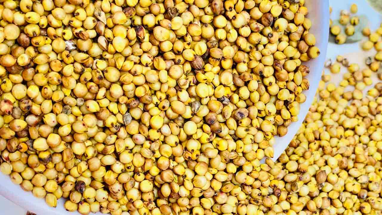 జొన్నల కొనుగోలు పరిమితి పెంపు