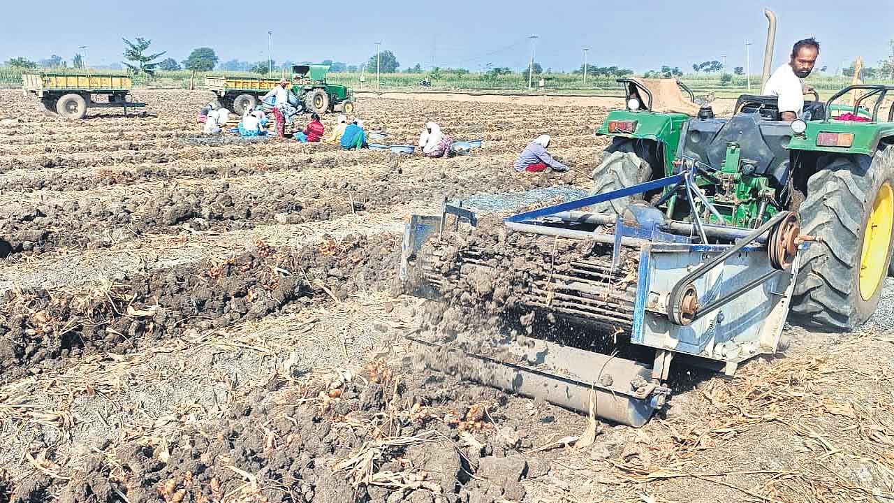 లాభాలకు మంత్రం.. పసుపు తవ్వే యంత్రం..