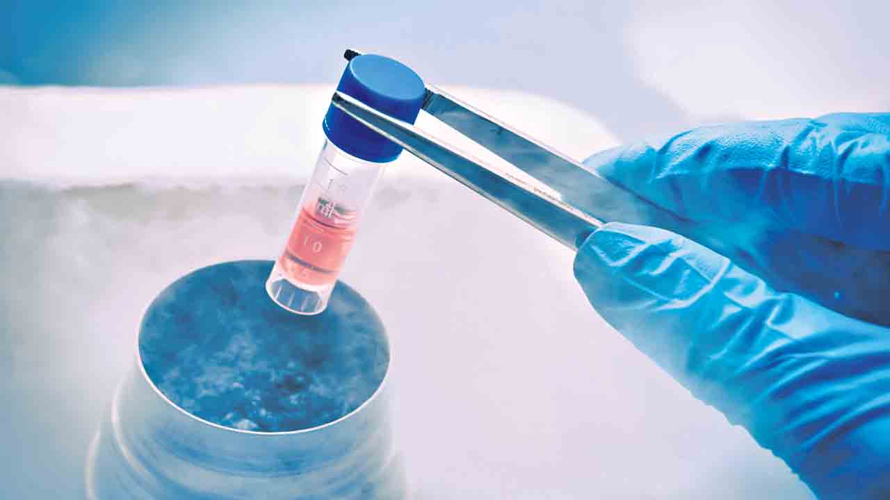 ఎగ్‌ ఫ్రీజింగ్‌ అంటే?