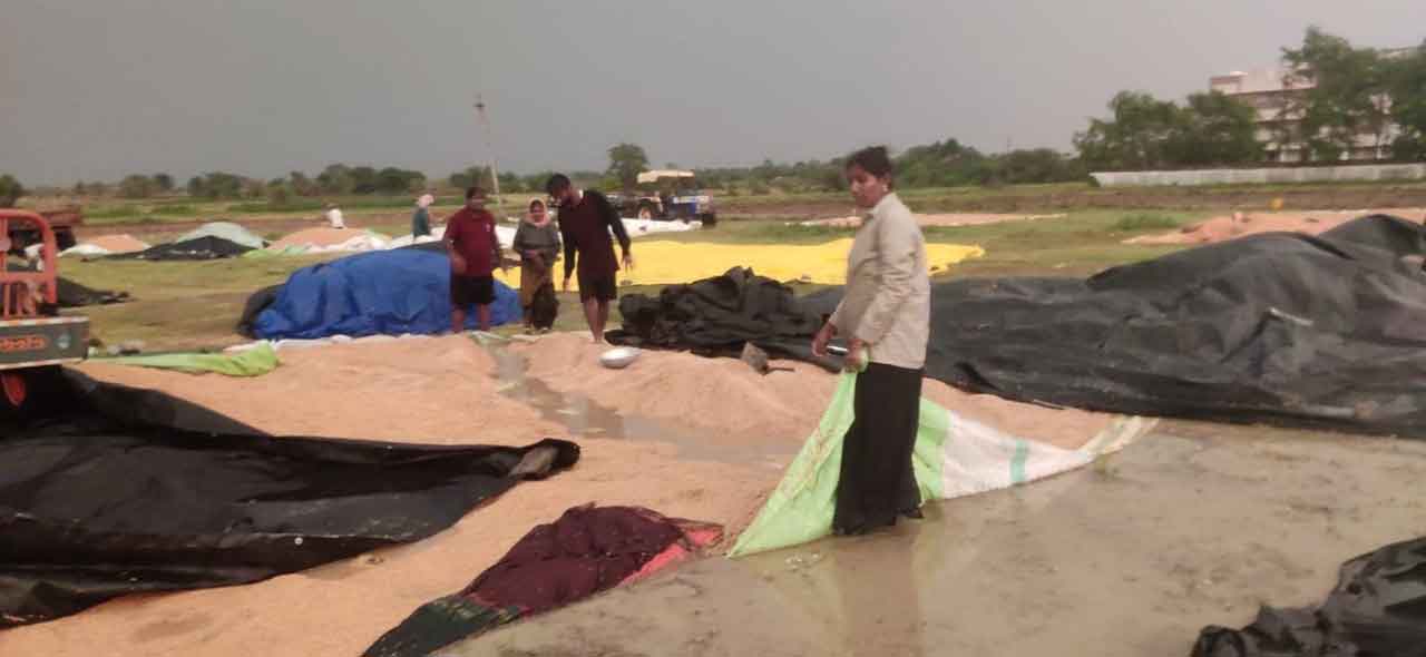 గాలి వాన బీభత్సం